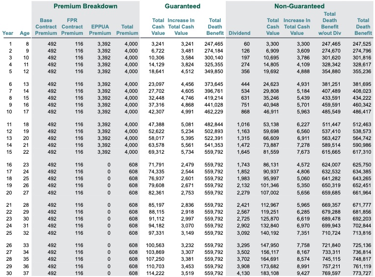 A max-funded life insurance policy illustration showing how to strategically warehouse cash