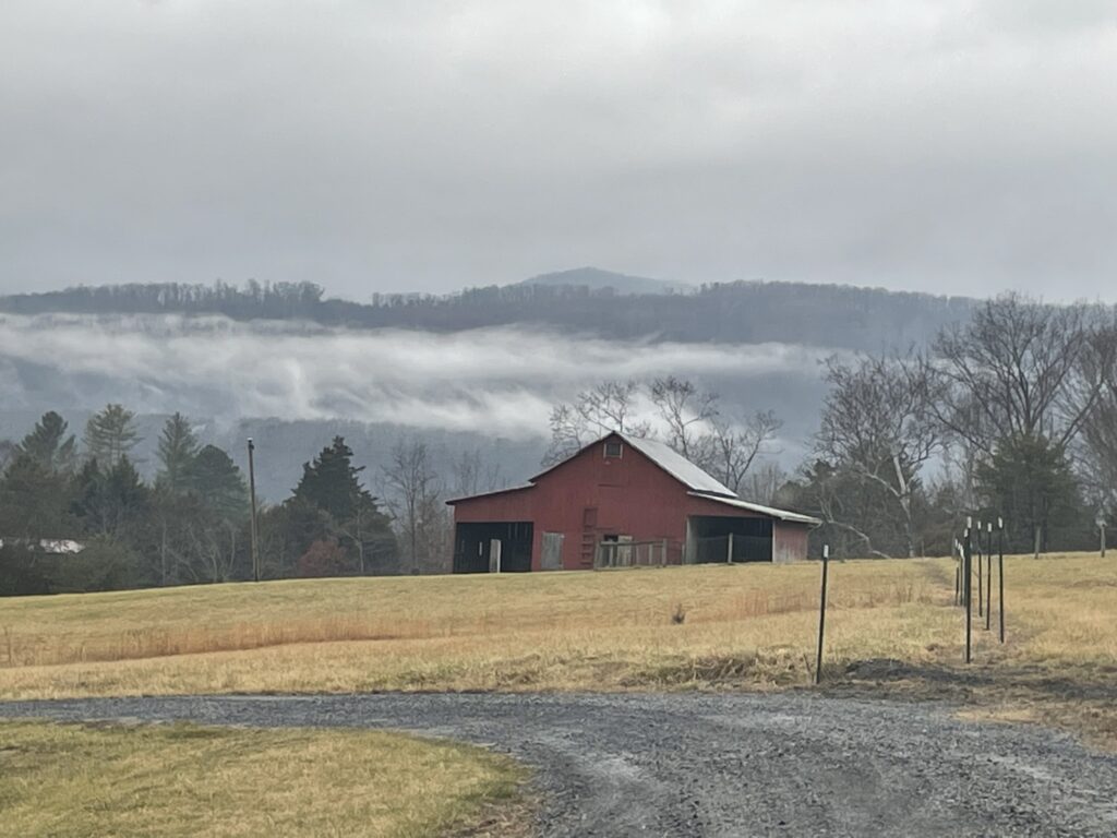 Appreciating the mist over the barn before we discuss capital-efficient stocks